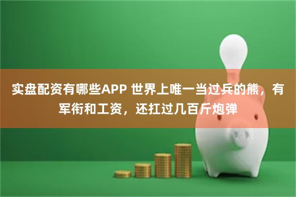 实盘配资有哪些APP 世界上唯一当过兵的熊，有军衔和工资，还扛过几百斤炮弹