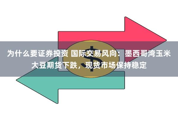 为什么要证券投资 国际交易风向：墨西哥湾玉米大豆期货下跌，现货市场保持稳定