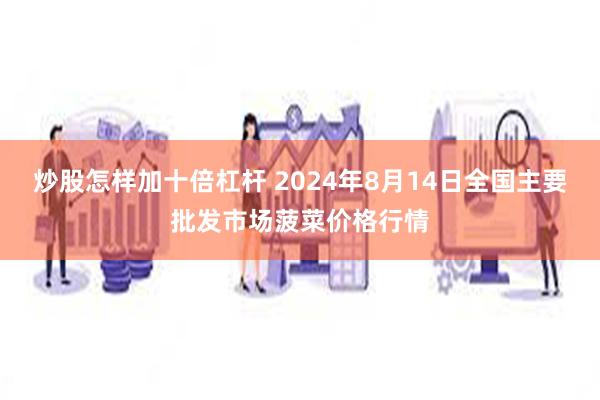 炒股怎样加十倍杠杆 2024年8月14日全国主要批发市场菠菜价格行情