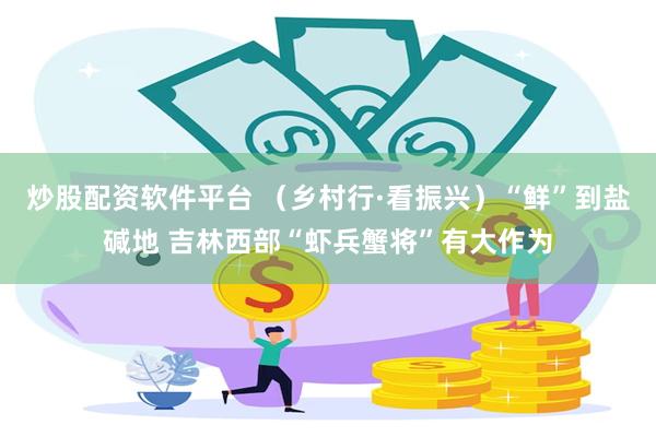 炒股配资软件平台 （乡村行·看振兴）“鲜”到盐碱地 吉林西部“虾兵蟹将”有大作为