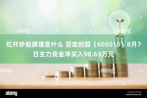 杠杆炒股原理是什么 百龙创园（605016）8月7日主力资金净买入98.63万元