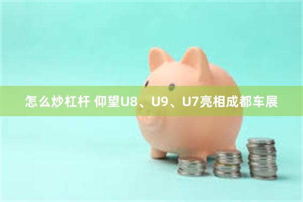 怎么炒杠杆 仰望U8、U9、U7亮相成都车展