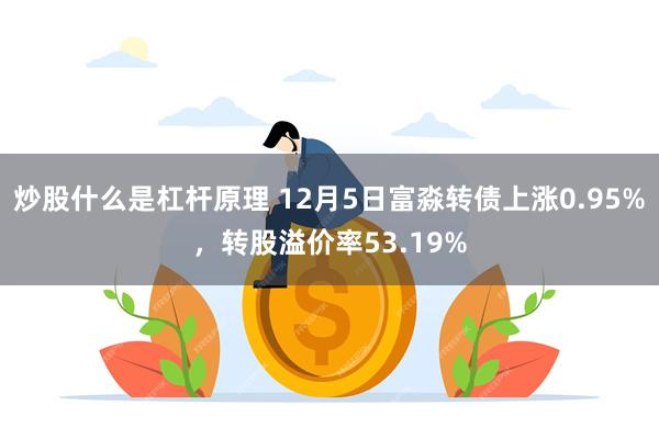 炒股什么是杠杆原理 12月5日富淼转债上涨0.95%，转股溢价率53.19%