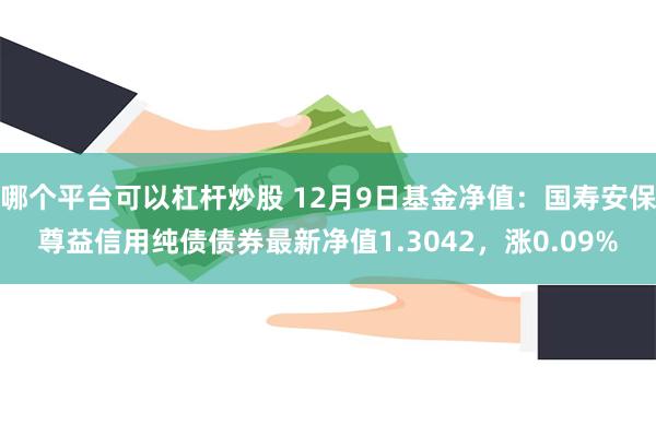 哪个平台可以杠杆炒股 12月9日基金净值：国寿安保尊益信用纯债债券最新净值1.3042，涨0.09%