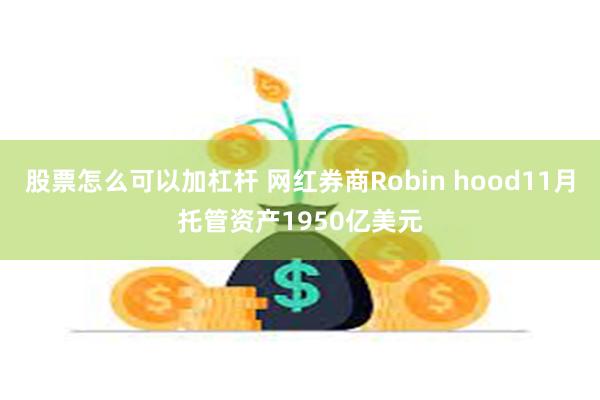 股票怎么可以加杠杆 网红券商Robin hood11月托管资产1950亿美元